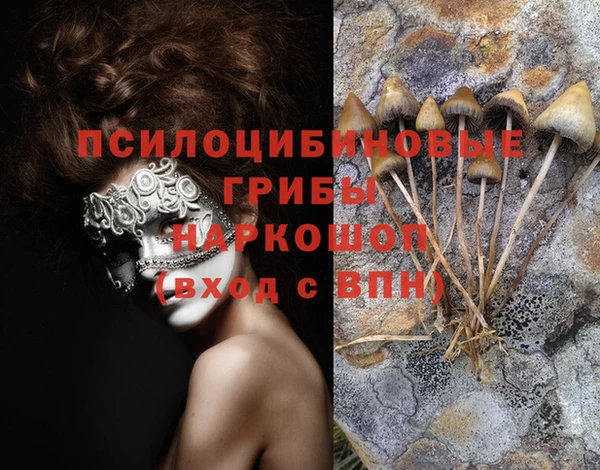 мяу мяу кристалл Гусиноозёрск