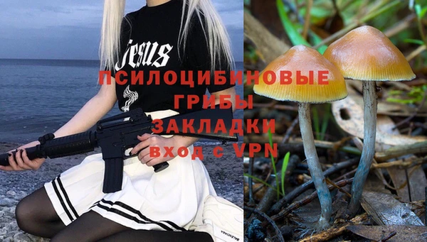 стафф Горнозаводск