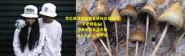 мяу мяу кристалл Гусиноозёрск