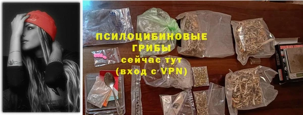 соль ск Гусь-Хрустальный